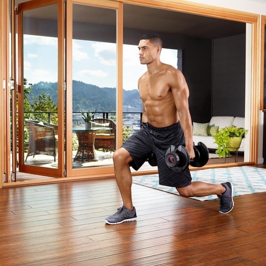 Paire d'haltères réglables SelectTech Bowflex 1090i