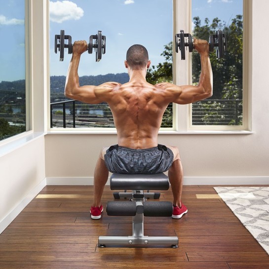 Haltères réglables SelectTech® Bowflex® 560i